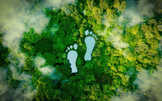 Origin-reduce-carbon-footprint